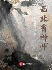 西北有神州封面