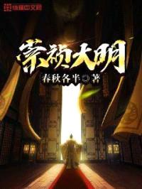 崇祯大明封面