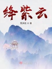 绛紫云封面