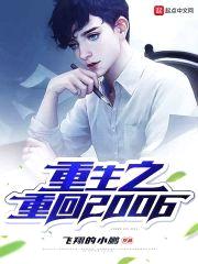 重生之重回2006封面