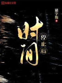 时间停止后封面