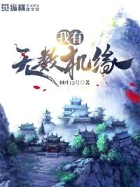我有无数机缘封面