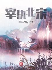 宰执北宋封面