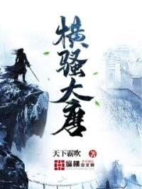 横sao大唐封面