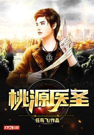 桃源医圣封面