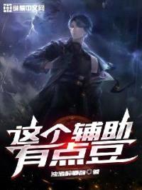 这个辅助有点豆封面