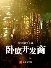 卧底开发商封面