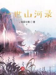 一世山河录封面