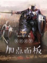 我的武学加点面板封面