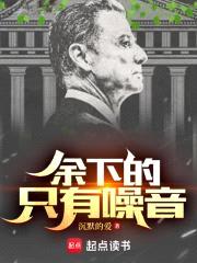 余下的，只有噪音封面