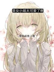 圣女小姐太可爱了啊封面