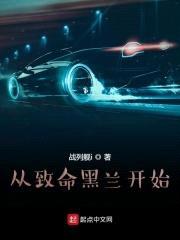 从致命黑兰开始封面
