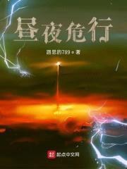 昼夜危行封面