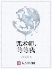 咒术师，等等我封面