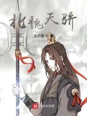 北魏天骄封面
