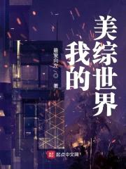 我的美综世界封面