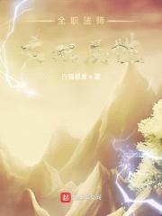 全职法师之双属性封面