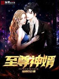 至尊神婿封面