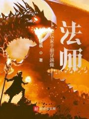 带玩家手册穿越做法师封面