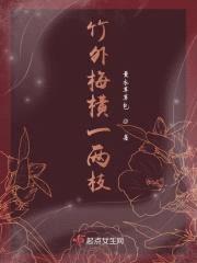 竹外梅横一两枝封面