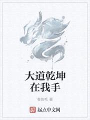 大道乾坤在我手封面