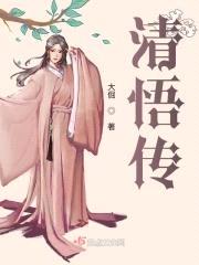 清悟传封面