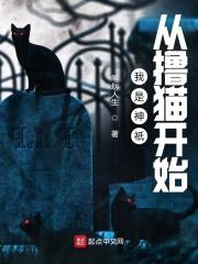 我是神祇从撸猫开始封面