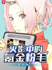 木叶之粉毛崛起封面