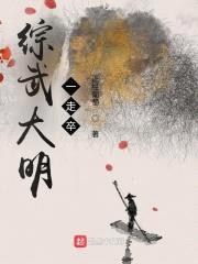 综武大明一走卒封面