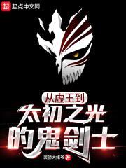 从虚王到太初之光的鬼剑士封面