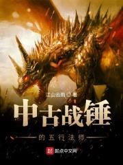 中古战锤的五行法师封面