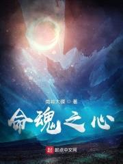 命魂之心封面
