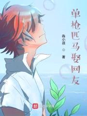 单枪匹马娶网友封面