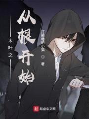 木叶之从根开始封面