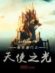 绝世唐门之天使之光封面