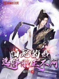 怕死的我选择刚正不阿封面