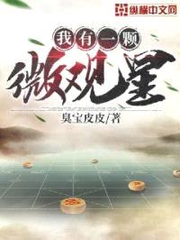 我有一颗微观星封面