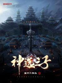 神选之子封面