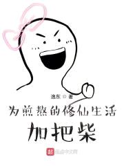 为煎熬的修仙生活加把柴封面