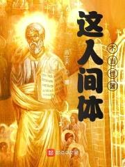 这人间体不当也罢封面