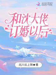 和沈大佬订婚以后封面