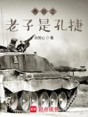 亮剑之老子是孔捷封面