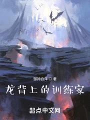 龙背上的训练家封面
