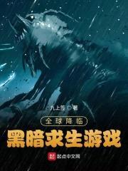 全球降临：黑暗求生游戏封面