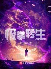 极拳转生封面