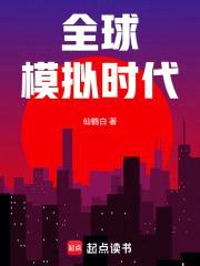 全球模拟时代封面