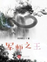 军师之王封面