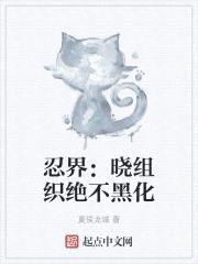 忍界：晓组织绝不黑化封面