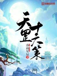 天罡十六策封面