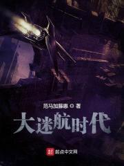 大迷航时代封面